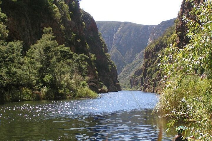 Baviaanskloof Nature Reserve Full-Day Private Tour - thumb 5