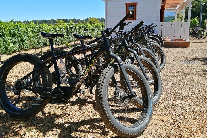 Stellenbosch E-Bike Half Day Wine Farm Tour