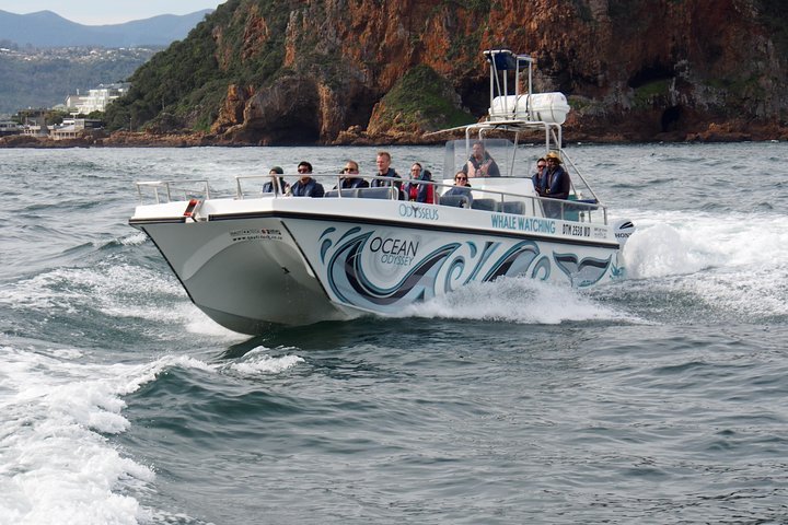 Whale Watching Knysna - Close Encounter Experience Ocean Odyssey - thumb 0