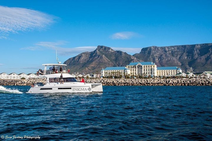 1 Hour Coastal Catamaran Cruise From Cape Town - thumb 2