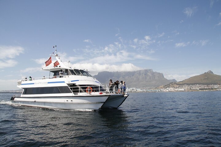 1 Hour Coastal Catamaran Cruise From Cape Town - thumb 4
