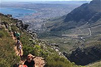 Adventurous Table Mountain Hike Group or Private - Tourism Africa