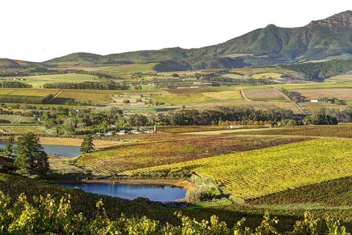 Paarl Franschhoek and Stellenbosch Wine Tour from Cape Town - Tourism Africa
