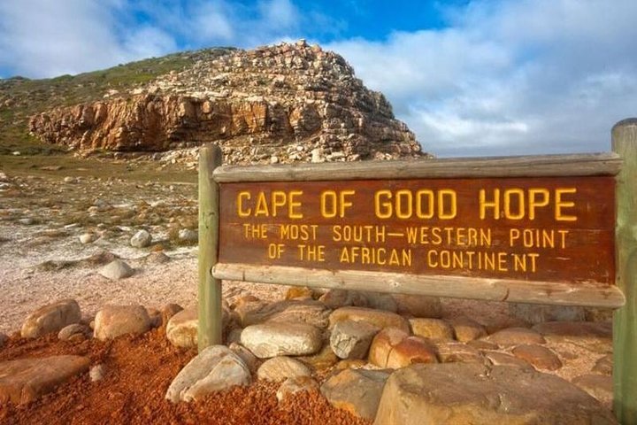 (Cape Town )Private Tour - Cape Peninsula Penguin Full Day - thumb 0