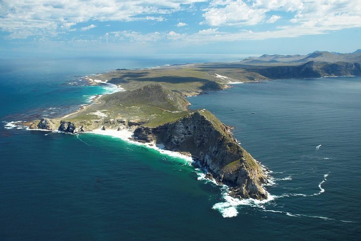 (Cape Town )Private Tour - Cape Peninsula Penguin Full Day - thumb 2