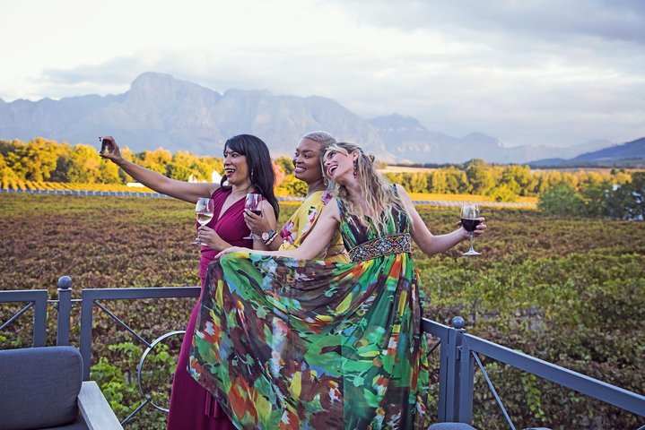 Wine Tasting Private Tour Through Durbanville Winelands - thumb 0