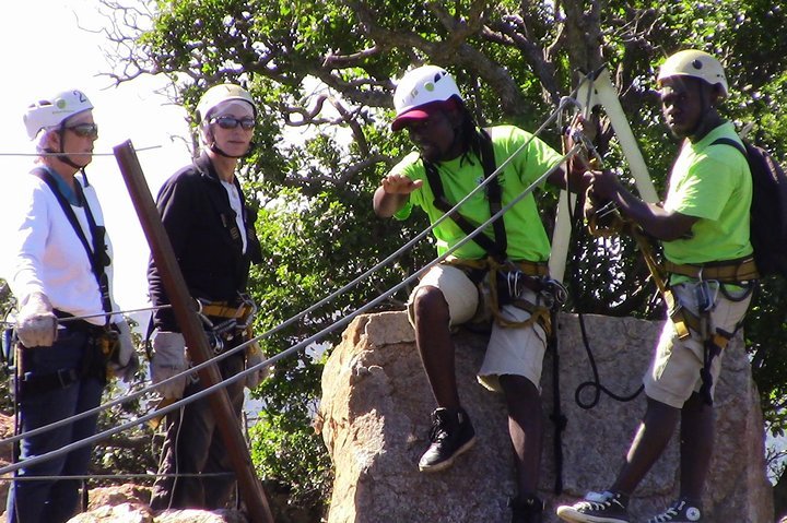 Rhino & Lion Park Safari And Canopy Zipline Experience With A Private Guide - thumb 0