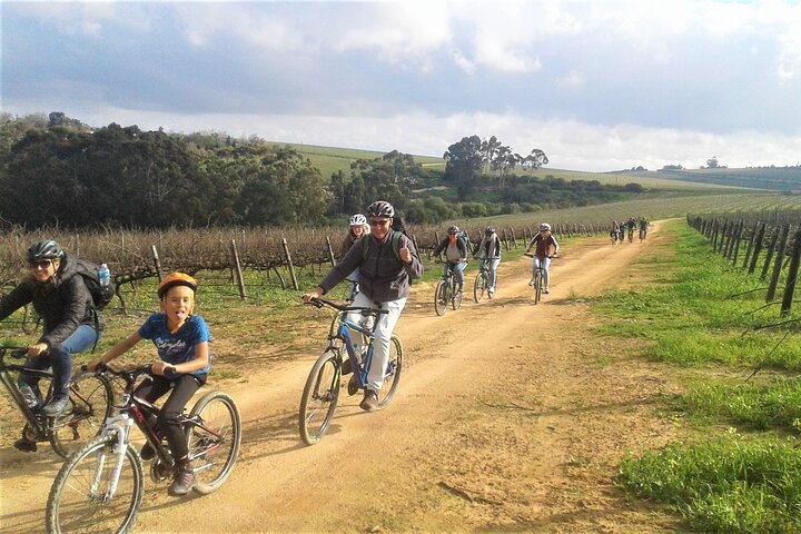 Franschhoek Family Cycle Tour - thumb 0