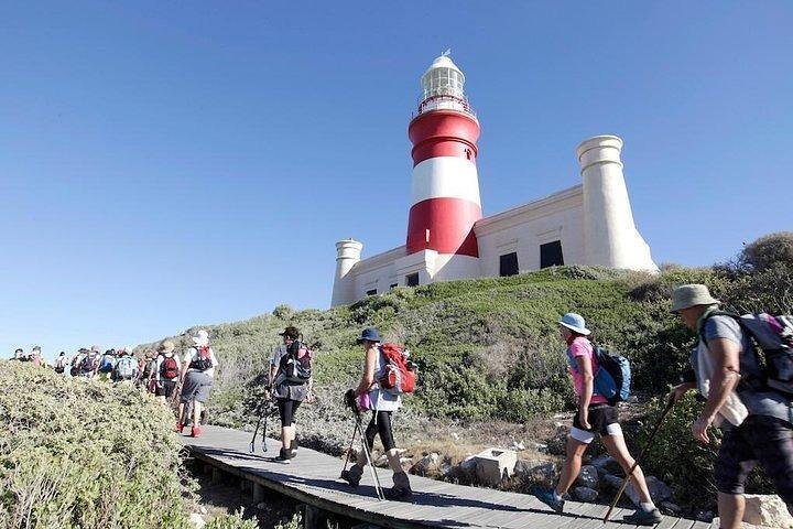 Best Of Cape 3-Day Attraction Tour:Arme Helicopter &Cape Peninsula& Wine Tasting - thumb 0