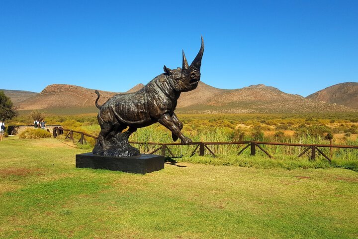 Return Transfer To Aquila Safari The Big 5 From Cape Town Excluding Entry Fees - thumb 3