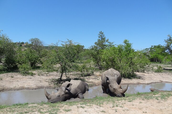 One Day Safari Tour From Johannesburg To Kruger National Park - thumb 1