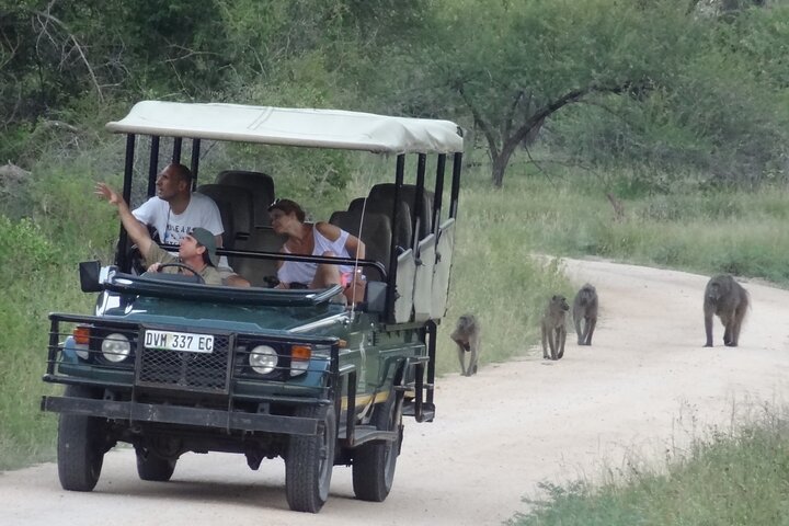 One Day Safari Tour From Johannesburg To Kruger National Park - thumb 5