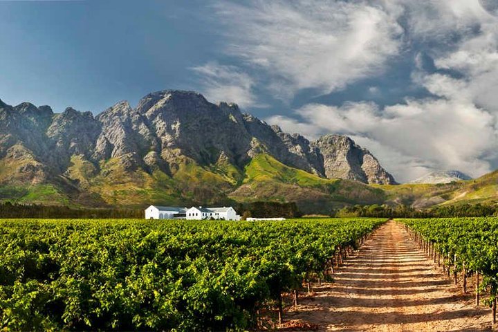 ( South Africa - Cape Town ) Winelands Tasting Full Day Tour - thumb 0