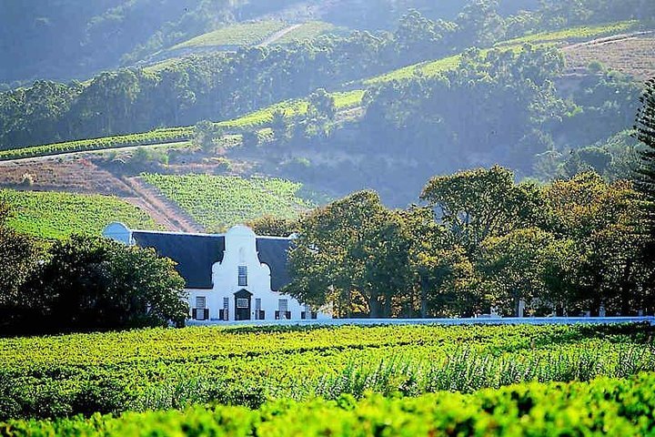 ( South Africa - Cape Town ) Winelands Tasting Full Day Tour - thumb 5