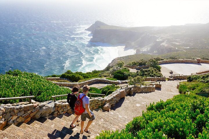 Explore Cape Point National Park With A Postcolonial Historian W/ Tix Add-on - thumb 3