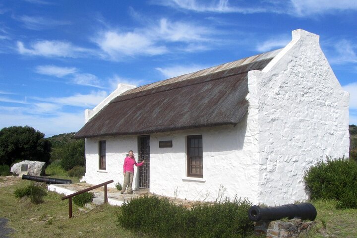 Explore Cape Point National Park With A Postcolonial Historian W/ Tix Add-on - thumb 4