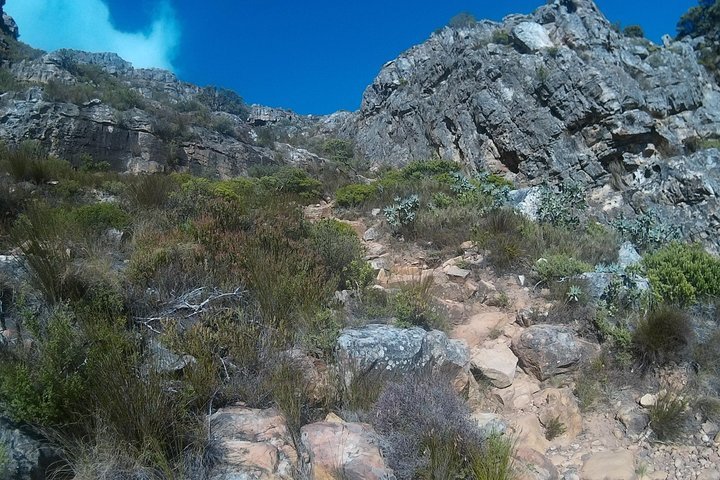 Indian-Venster - Table Mountain - thumb 1