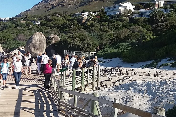Cape Of Good Hope, Table Mountain Bo-Kaap Penguins Beach Plus Entry Fees F /Day - thumb 1
