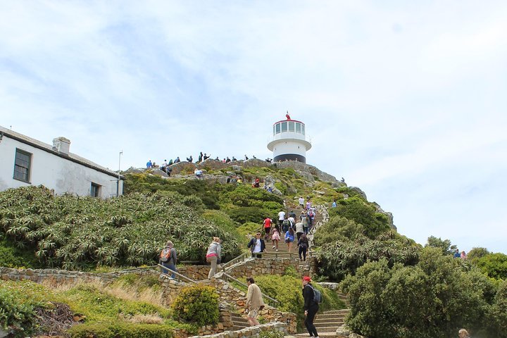 Cape Of Good Hope, Table Mountain Bo-Kaap Penguins Beach Plus Entry Fees F /Day - thumb 4