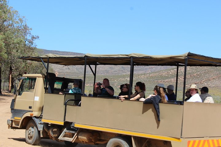 African Big 5 Safari Aquila Game Reserve From Cape Town Full Day - thumb 5