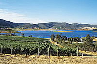 Tasmanian Wine Centre Tours - Winery Find