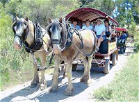 Swan Valley Wagon Trails - Winery Find
