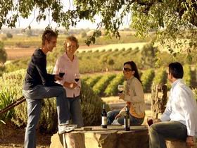 Barossa Valley Tours - Winery Find