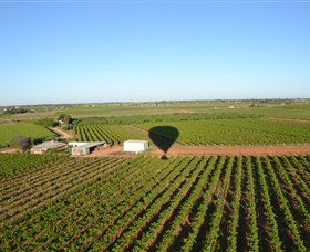 Mildura Ballooning - Winery Find