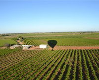 Mildura Ballooning - Winery Find