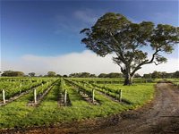 Penola Coonawarra Tour Services - Winery Find