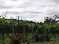 Manyara Vineyard - Winery Find