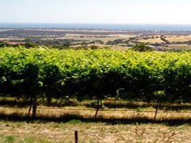 Braydun Hill Vineyard - Winery Find