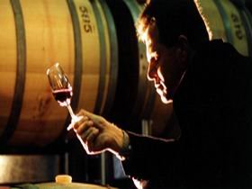 Salena Estate Wines - Winery Find