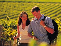 Book Normanville Accommodation Vacations Winery Find Winery Find