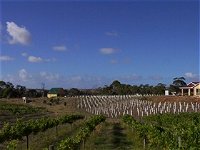 Deep Creek Wines and Alpacas - Winery Find