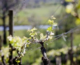 Lindemans Karadoc Winery - Winery Find