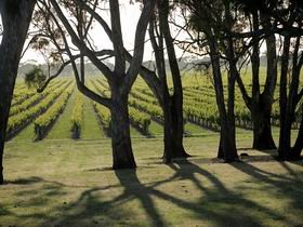Henry's Drive Vignerons - Winery Find