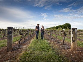 Coonawarra Wineries Walking Trail - Winery Find
