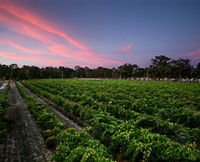 Amherst Winery