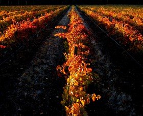 Sandhurst Ridge - Winery Find