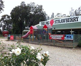 The Big Strawberry - Winery Find