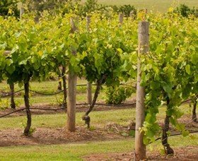 Mt Coghill Vineyard - Winery Find