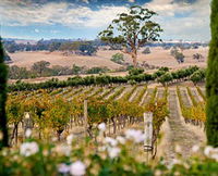 Book Redesdale Accommodation Vacations Winery Find Winery Find