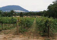 Mount Buninyong Winery - Winery Find