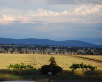 Book Junee Accommodation Vacations Winery Find Winery Find