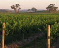 Printhie Wines - Winery Find