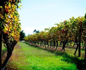 Botanic Ridge VIC Winery Find