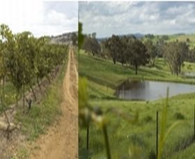 Hazelgrove NSW Winery Find