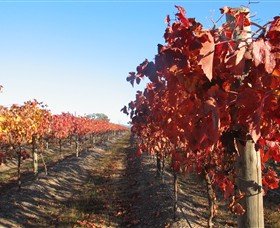 Kooyonga Creek Wines - Winery Find