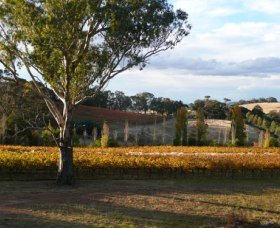 Bloodwood Estate - Winery Find